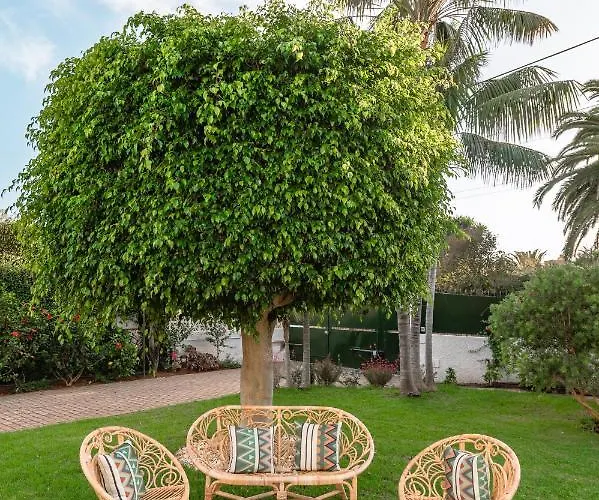 Boutique San Diego - Adults Only Hotel *